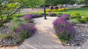 residential landscaping six lakes michigan