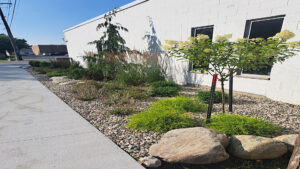 commercial landscaping public space stanton mi